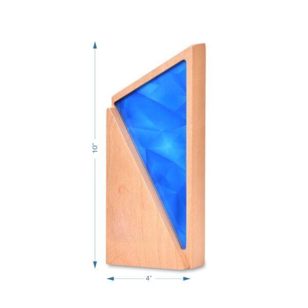 RS250 - Image 3